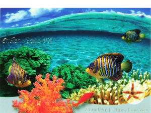 การ์ดปีใหม่ การ์ด ส.ค.ส. บัตรอวยพร New year card 5×7 inch GN 5533 ฿ 14.00