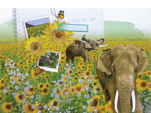 การ์ดปีใหม่ การ์ด ส.ค.ส. บัตรอวยพร New year card 5×7 inch GN 5845 ฿ 14.00