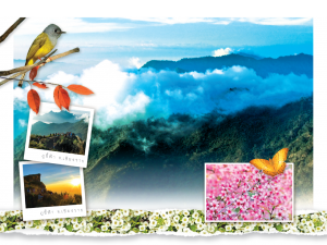 การ์ดปีใหม่ การ์ด ส.ค.ส. บัตรอวยพร New year card 5×7 inch GN 6012 ฿ 14.00