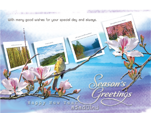 การ์ดปีใหม่ การ์ด ส.ค.ส. บัตรอวยพร New year card 5×7 inch GN 6014 ฿ 14.00