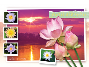 การ์ดปีใหม่ การ์ด ส.ค.ส. บัตรอวยพร New year card 5×7 inch GN 6015 ฿ 14.00