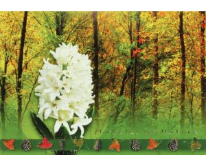 การ์ดอวยพร การ์ด ส.ค.ส. บัตรอวยพร GN 5632