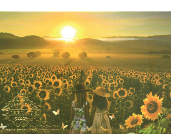 การ์ดปีใหม่ การ์ด ส.ค.ส. GN.6106 14.00